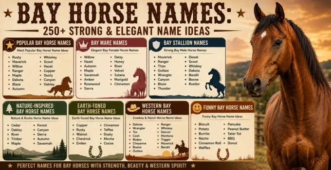 Bay Horse Names: 250+ Strong & Elegant Name Ideas