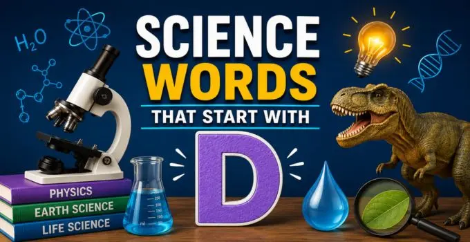 Science Words That Start With D [ Examples & All Grades]