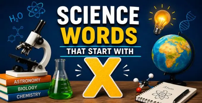 science terms beginning with x