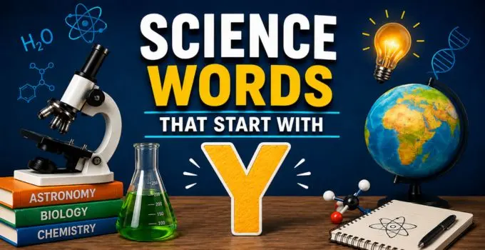 science terms beginning with y